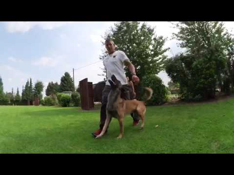 Knut Fuchs - Ein ganz normaler Freitag bei Familie Fuchs