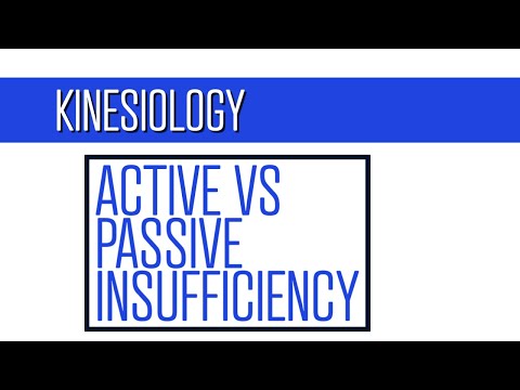 What is Active vs Passive Insufficiency: Must Know Concept for Physical Therapy School