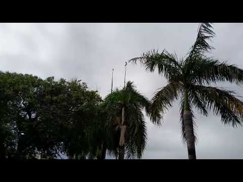 PRAÇA  GONÇALVES  DIAS  SÃO LUÍS MARANHÃO  IGREJA  NOSSA  SENHORA  DOS  REMÉDIOS