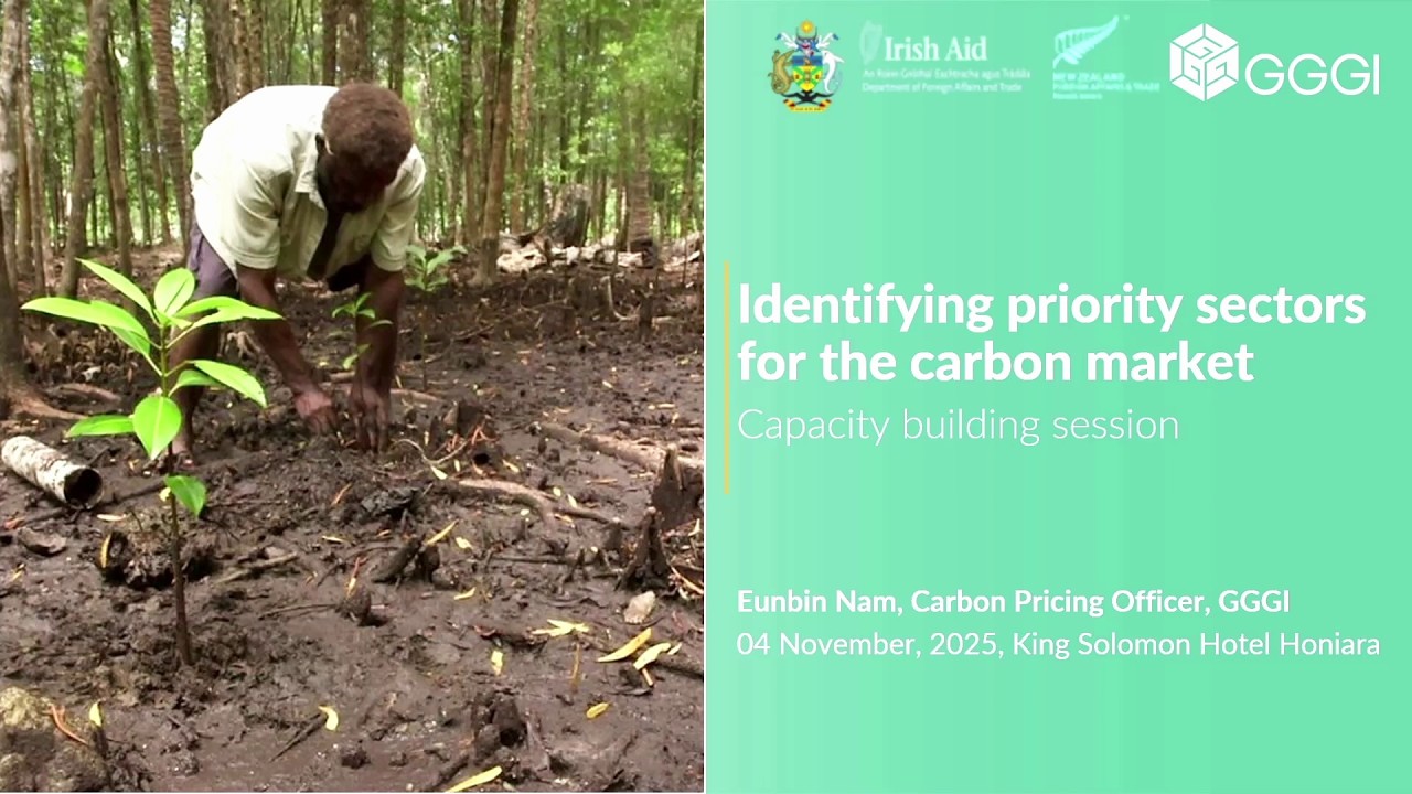 Module 2: Identifying priority sectors for the carbon market