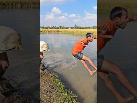 How did you push the cow from behind?