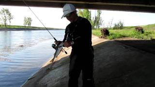 Daiwa gekkabijin saltist xtreme stx rf73 svf