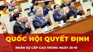The National Assembly decided on the personnel of the Deputy Prime Minister and some ministers on...