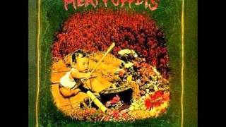 meat puppets - melons rising