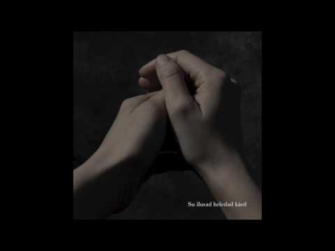 Teet Velling / Indrek Hirv – "Su ilusad heledad käed", laulab Riho Sibul (täispikk versioon)