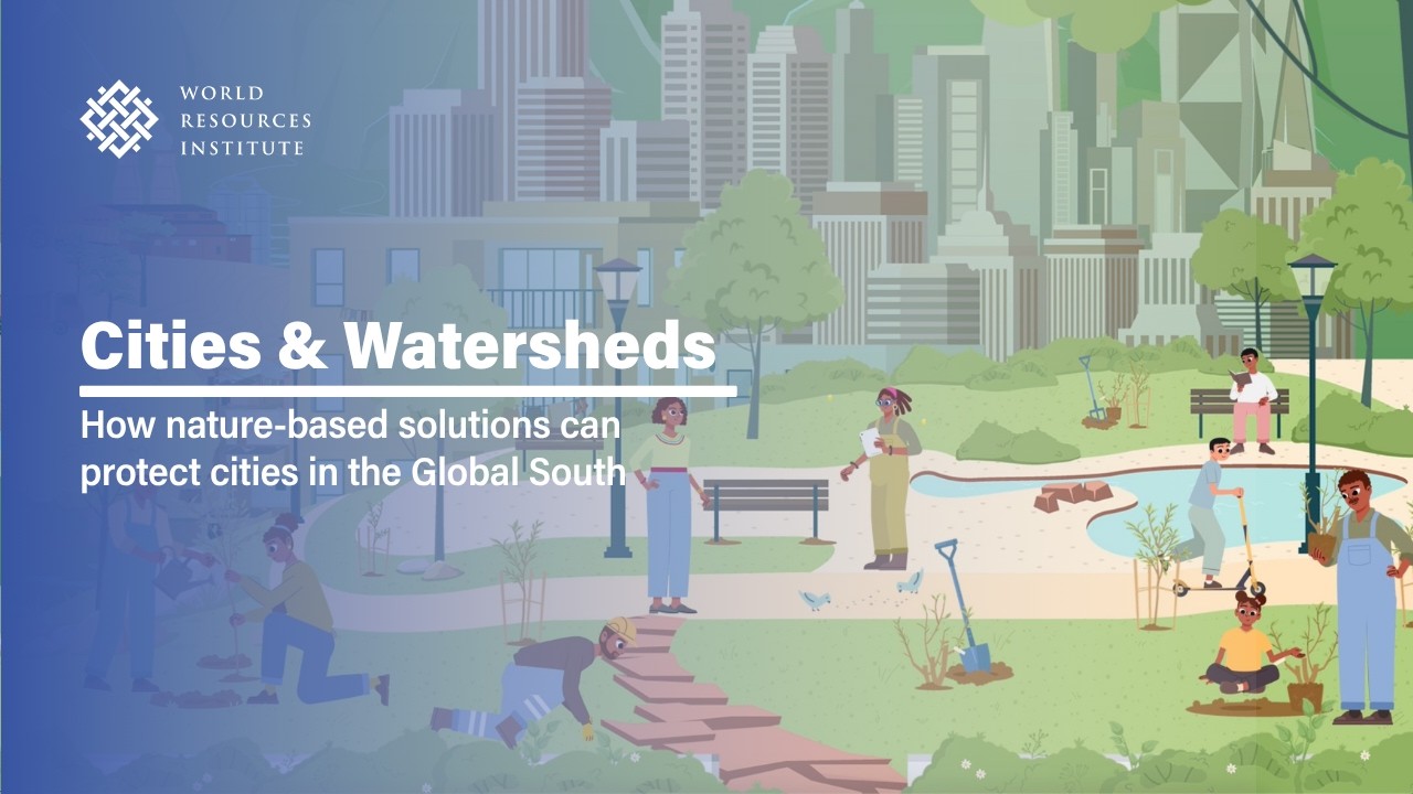 Cities & Watersheds: How nature-based solutions can protect cities in the Global South