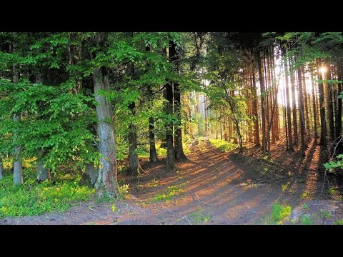 Kemmathen - Gräfenberg