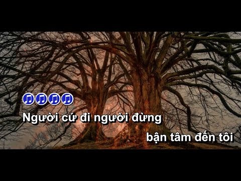 [Karaoke] _ MẤY AI TRỌN VẸN | Wendy Thảo