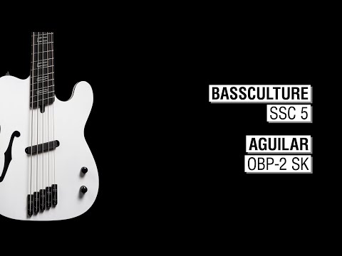 Bassculture SSC 5 + Aguilar OBP-2 SK - Mr. Tee 5p Hollowbody Multiscale