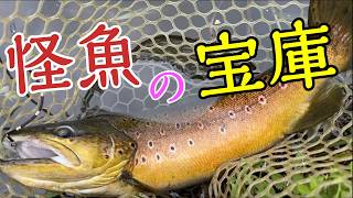 管理釣り場にこんな怪魚が潜んでいた・・・、ブラウントラウトの引きを見よ【エリアトラウト】【つれないつり堀つり天国】