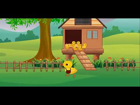 El pollito desobediente.