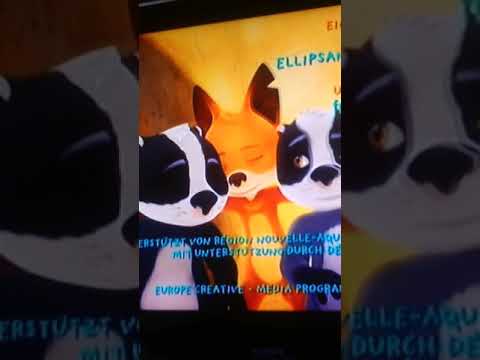 Mama Fuchs und Papa Dachs