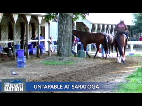Untapable at Saratoga