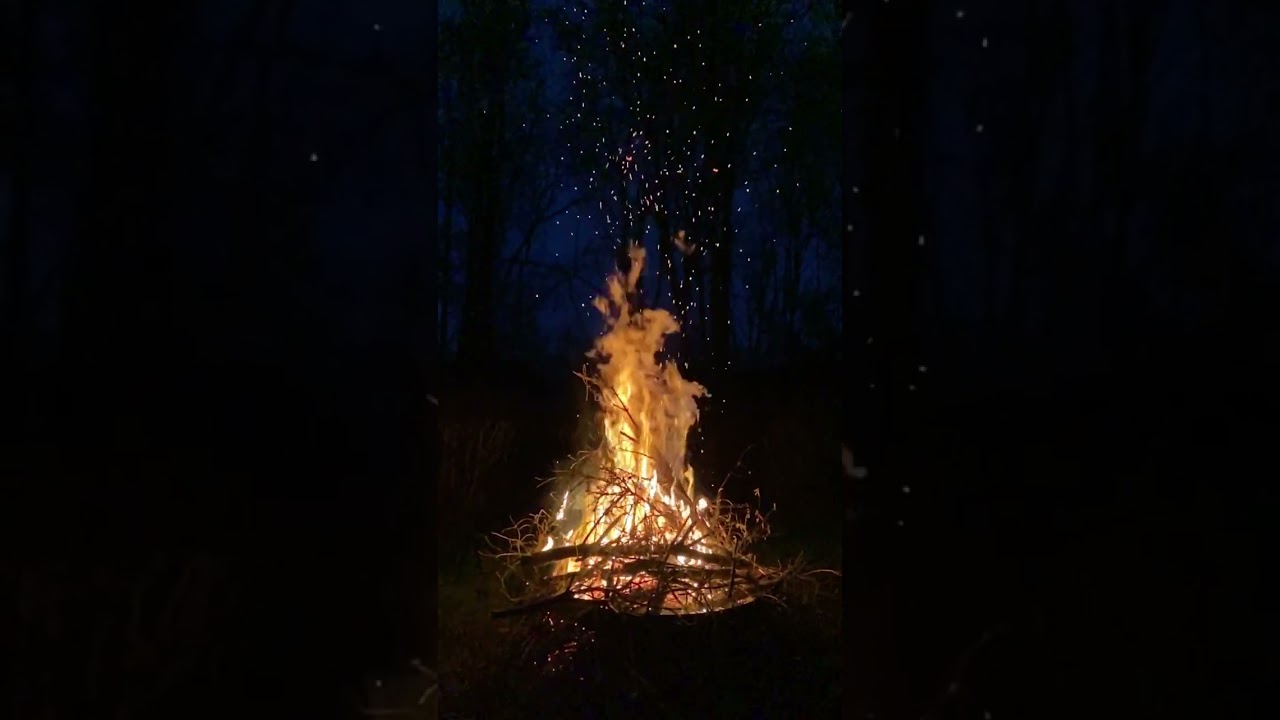 Bonfire Background Video I I HD I FREE Stock Footage I No copyright I 4k #fire #backgroundvideo