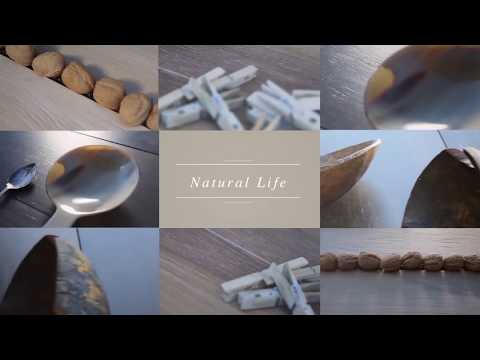 download lagu mp3 mp4 Caesar Life Walnut, download lagu Caesar Life Walnut gratis, unduh video klip Caesar Life Walnut