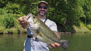AWESOME Shaky Head Bass Fishing!!! (Post Spawn Chunks in the Wood)