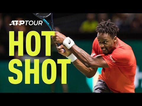 Best Hot Shots Of Rotterdam 2019
