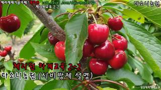 체리원 하계교육 2-2 다소니농원(시비방제설명)