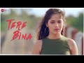 Tere Bina - Official Music Video | Bismil | Jannat Zubair Rahmani Tere Bina - Official Music Video | Bismil | Jannat Zubair Rahmani