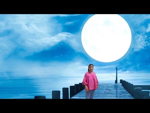 LIke Fyling To The Moon - line dance || Theo Seto Sundoro