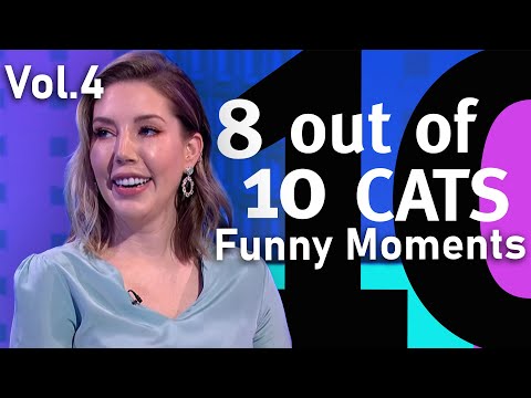 Funny 8 Out of 10 Cats Moments! | Cats MEGAMIX | Volume.4  | 8 Out of 10 Cats