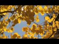 أسماء الله الحسنى بصوت صباح فخري Watch Video Full HD 1080p