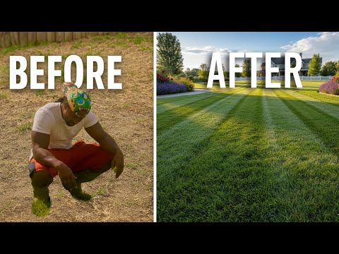 Transform Your Patchy Lawn in a Weekend: A Beginner's Guide to Seeding