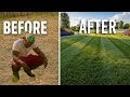 Transform Your Patchy Lawn In A Weekend A Beginner S Guide To Seeding