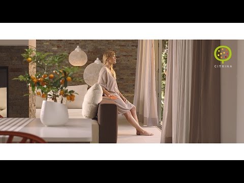 Citrina *Citrus plants for a beautiful home