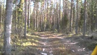 preview picture of video 'Metsäautotiellä (Woods driving)'