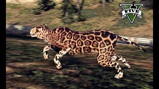 Panther + Jaguar Retexture Mountain lion