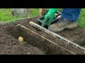 How To Grow Potatoes In Your Garden