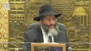 רגע של אור עם הרה"ג הרב ישראל אברג'ל שליט"א - לא כל הילדים שווים
