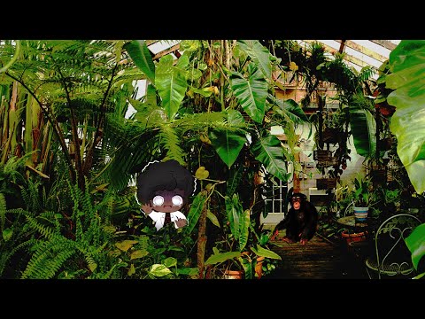 Welcome to the jungle, it's in your room - SCP 1341