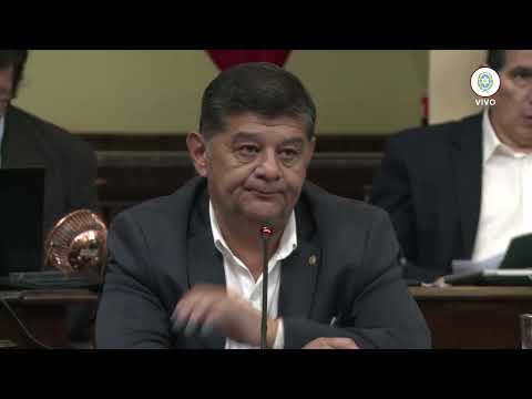 Senador Jorge Soto - Carta Municipal de Apolinario Saravia