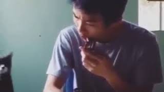 Download lagu Viral: Cat playing Iphone Ringtone mp3 Download lagu Viral: Cat playing Iphone Ringtone mp3
