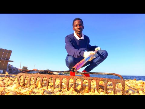 MY FIRST JOB IN USA 🇺🇸 AS A BEACH ATTENDANT  - Episode 1