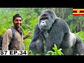 Finally My Dream Gorilla Safari in Uganda 🇺🇬 S7 EP.34 | Pakistan to South Africa