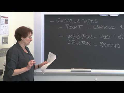 Lecture 4.1: Inheritance and Genetics  — Genes to Proteins