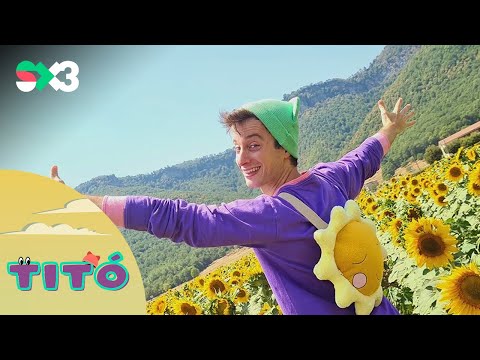 Excursió al camp de girasols | Titó