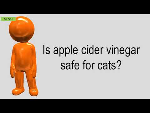 Is Apple Cider Vinegar Safe For Cats?