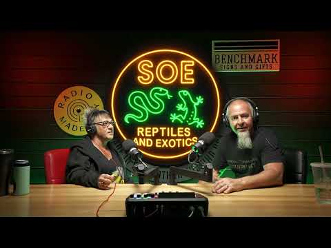 SOE reptiles and exotics podcast // ep. 2