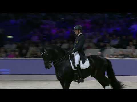 HK 2024   Presentatie Sport Elite Stamboekhengsten