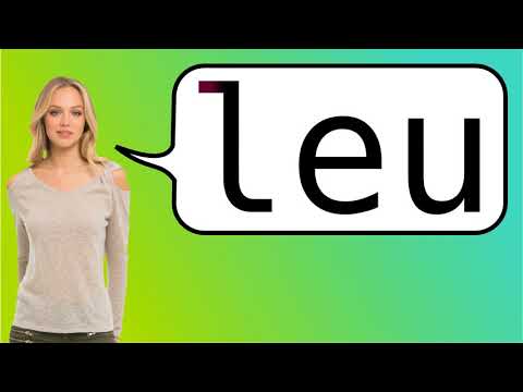 How to say 'Romanian leu' in French?