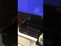 Opening To Looney Tunes Golden Collection Volume 1 2003 DVD Disc 4