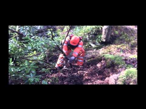 Removal of Rhododendron Ponticum in The Trossachs National Park