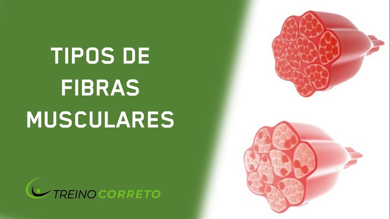 Tipos de Fibra Muscular e Desempenho - Treino Correto #69