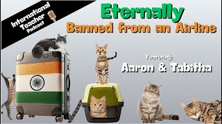 A Teaching Couple and Their Cats in New Delhi, India.