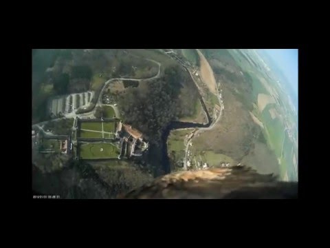 Schloss Rosenburg Adlerflug