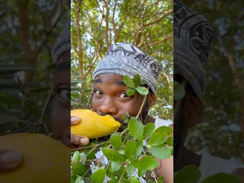 ⁠​⁠I WANNA BE LIKE @Soytietofficial WHEN I GROW UP😂😂😂#soytiet #funny #viralvideo #comedy #laugh